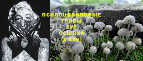 а пвп мука Бронницы