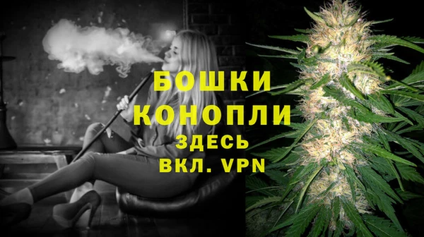 mdpv Бородино