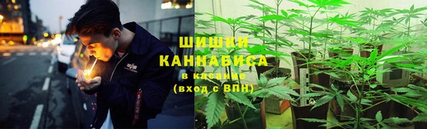 mdpv Бородино